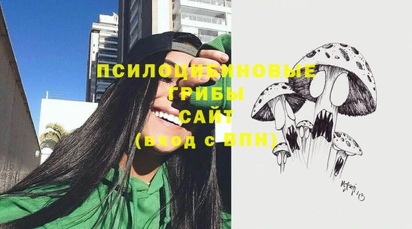 сатива Абаза