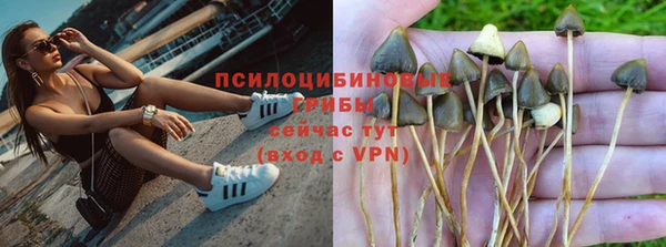 сатива Абаза