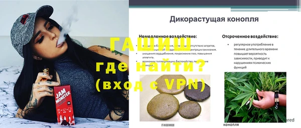сатива Абаза