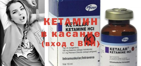 сатива Абаза