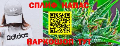 PSILOCYBIN Рузаевка