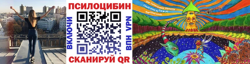 Галлюциногенные грибы Psilocybine cubensis  Рассказово 