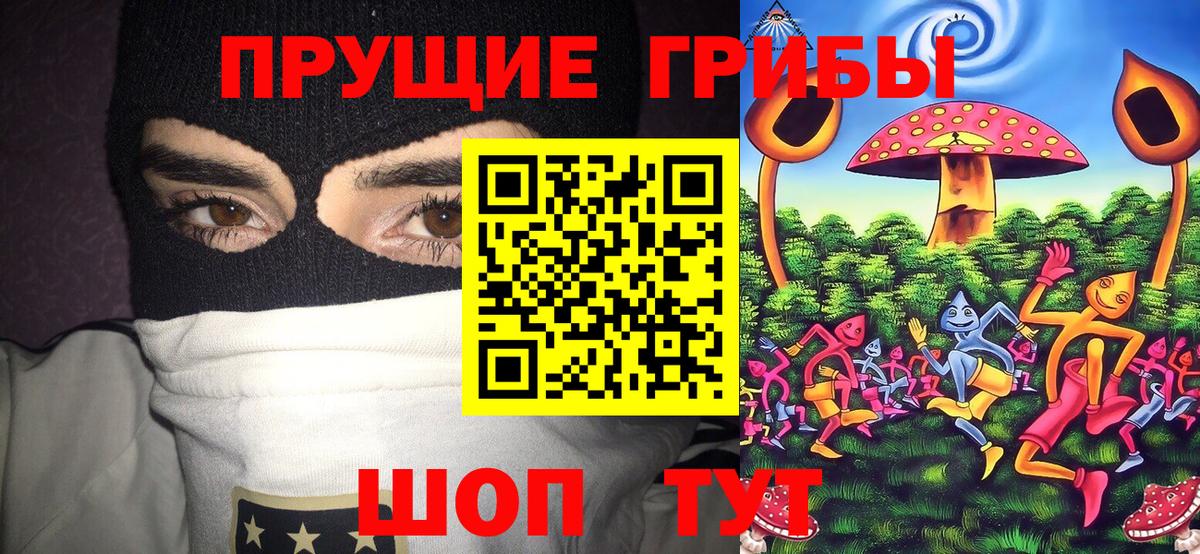 Псилоцибиновые грибы прущие грибы Рассказово